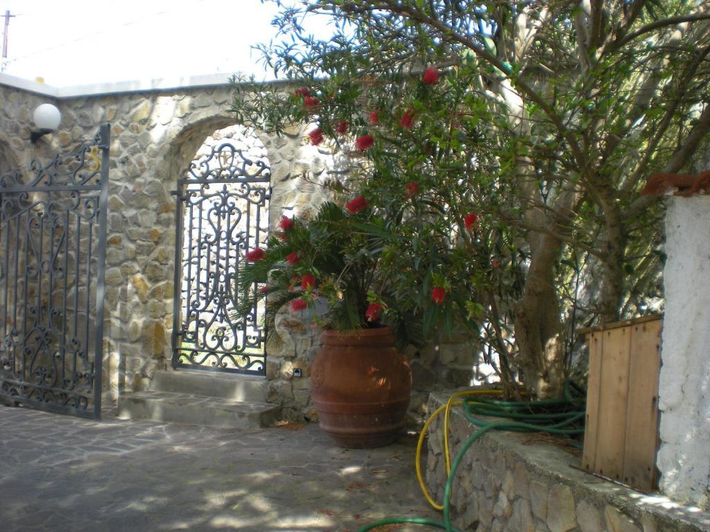 Villa Pina Ponza Exterior foto